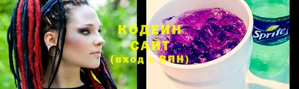 шишки Покачи