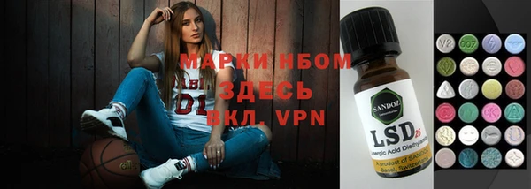 шишки Покачи