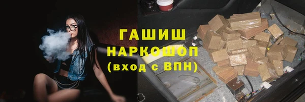 шишки Покачи