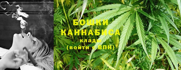 шишки Покачи