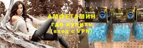 шишки Покачи