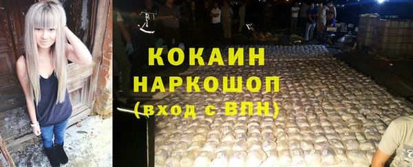 шишки Покачи