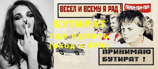 шишки Покачи