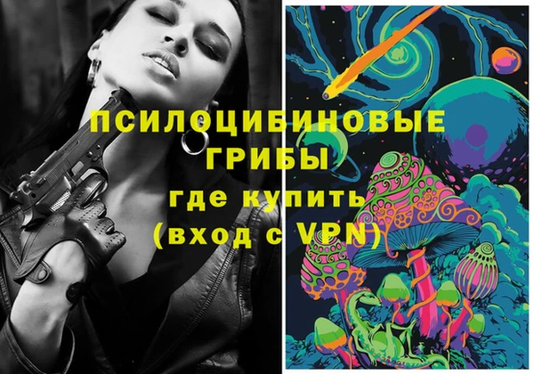 твердый Пестово