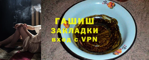шишки Покачи
