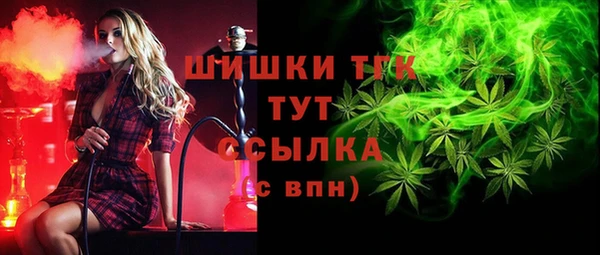 твердый Пестово