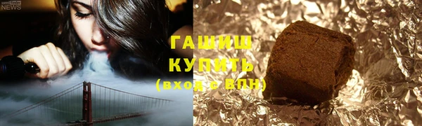 шишки Покачи
