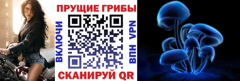 наркотики  Реутов  Галлюциногенные грибы мицелий 
