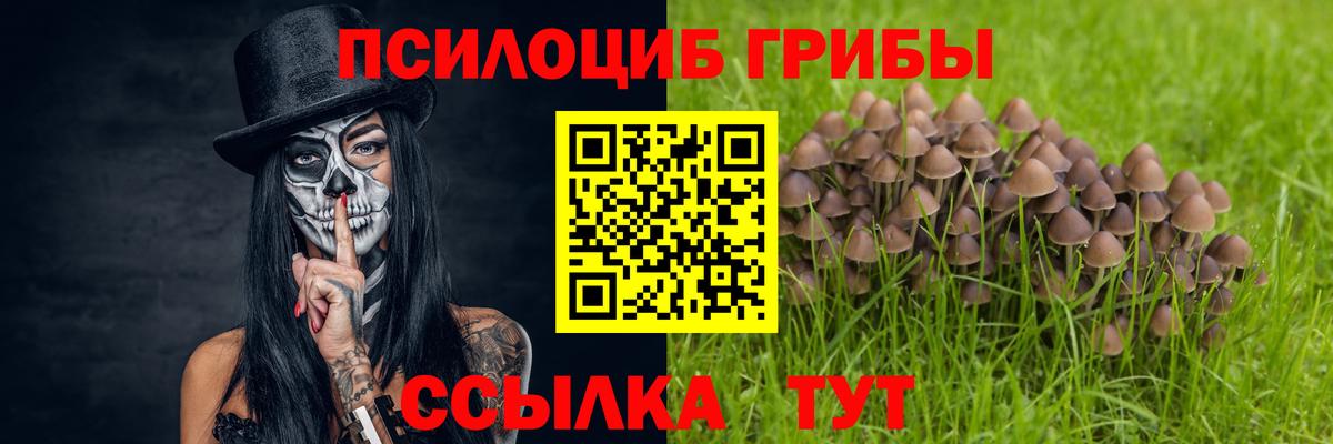 хочу наркоту  Вход с VPN  Реутов  Галлюциногенные грибы мицелий 